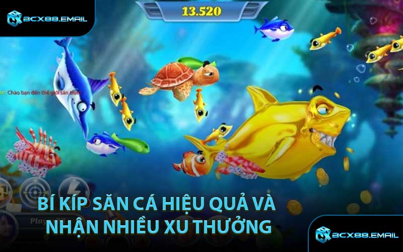 Bí Kíp Săn Cá Hiệu Quả và Nhận Nhiều Xu Thưởng
