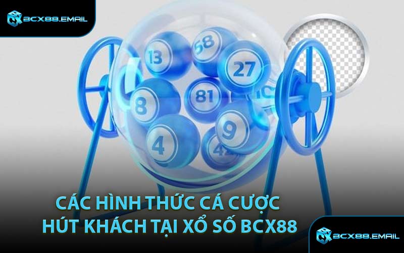 Các Hình Thức Cá Cược Hút Khách Tại Xổ Số BCX88