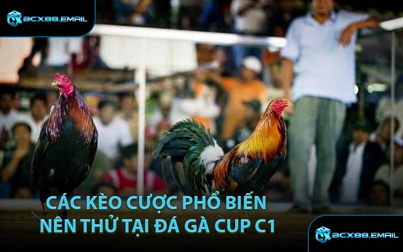 Các Kèo Cược Phổ Biến Nên Thử Tại Đá Gà Cup C1