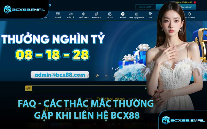 FAQ - Các Thắc Mắc Thường Gặp Khi Liên Hệ BCX88