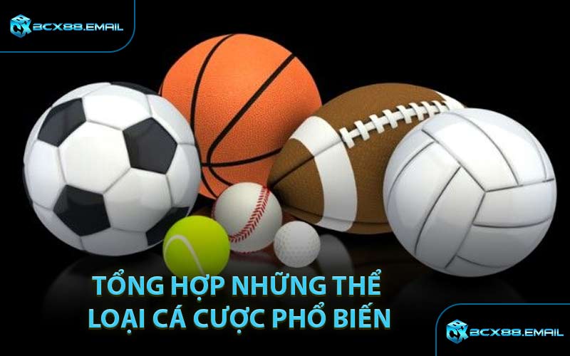 Tổng Hợp Những Thể Loại Cá Cược Phổ Biến
