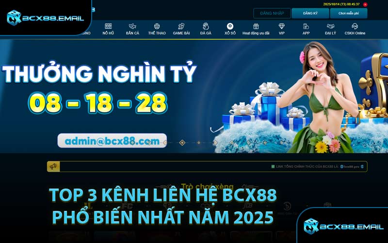 Top 3 Kênh Liên Hệ BCX88 Phổ Biến Nhất Năm 2025
