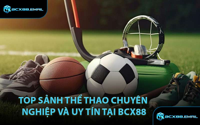 Top Sảnh Thể Thao Chuyên Nghiệp và Uy Tín Tại BCX88