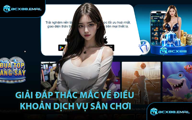 Giải Đáp Thắc Mắc Về Điều Khoản Dịch Vụ Sân Chơi