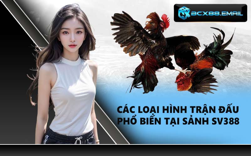 Các loại hình trận đấu phổ biến tại sảnh SV388