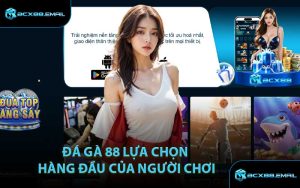 Đá gà 88 lựa chọn hàng đầu của người chơi