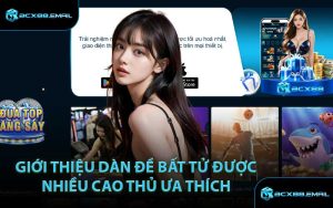 Giới thiệu dàn đề bất tử được nhiều cao thủ ưa thích