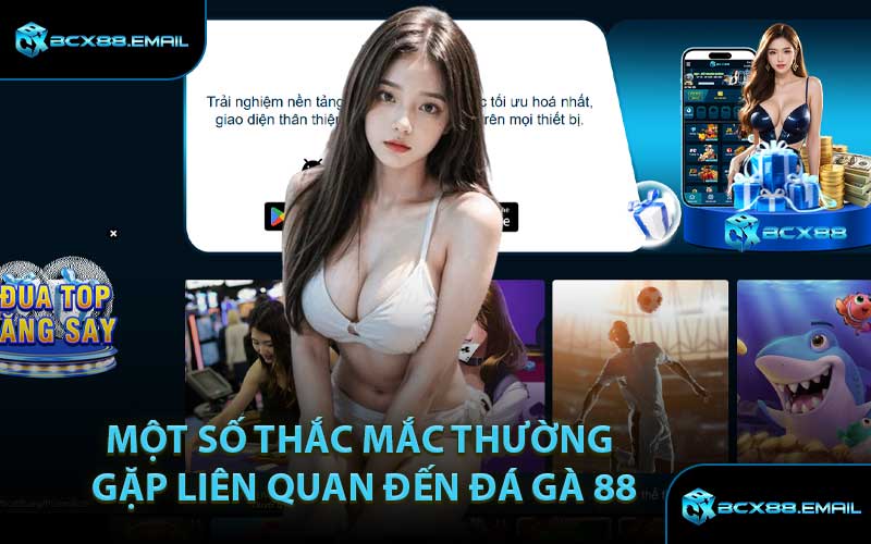 Một số thắc mắc thường gặp liên quan đến Đá Gà 88